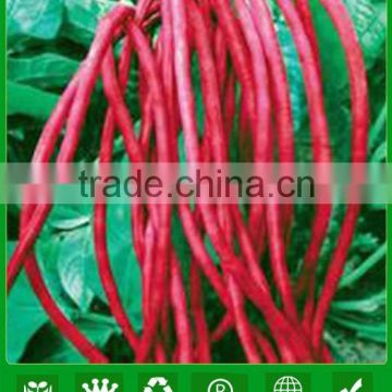 MBE10 Hongxi pure red bean seeds, high yield long bean seeds