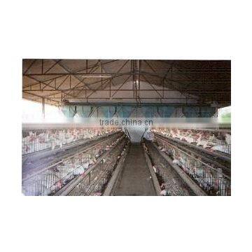 Poultry Cages for Feeding