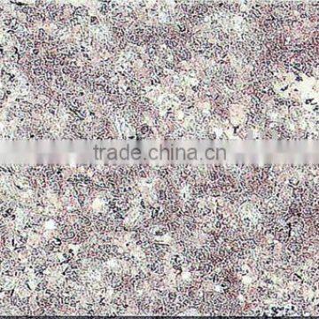 Granite G634 600x600 300x600