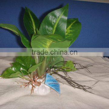 aquarium artificial plants