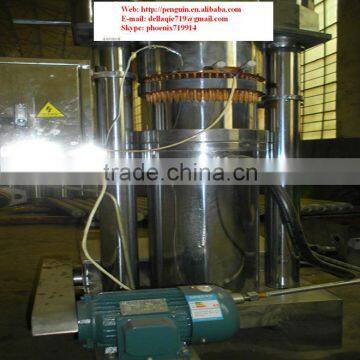 Cheap and Good Quality Sesame Squeezing Equipment 30TPD