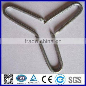 Galvanized U Shaped Staples