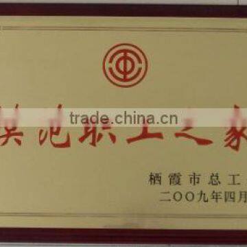 model home of members