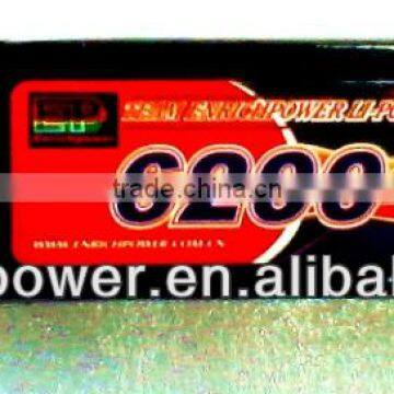 Enrich Power Lipo Battery