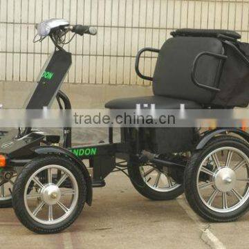 two seat electric bike