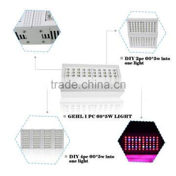 Save 30% High Quality 5w Chip Kits 240w Full Spectrum Led Grow Light photo-5