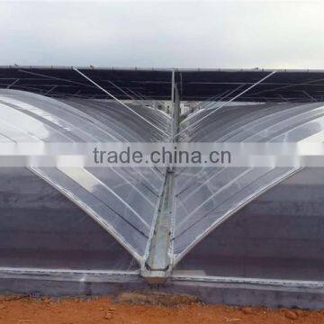 Chinese Large 10 Meters Multi-Span Plastic Film Greenhouse, Vegetables Greenhouse photo-2