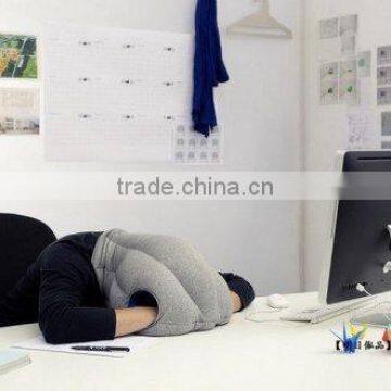 Magical Ostrich Pillow