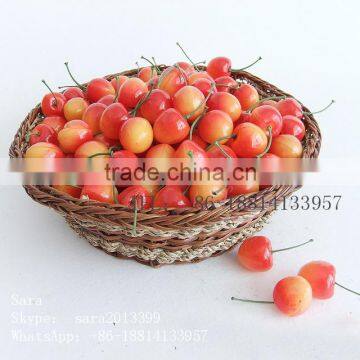 Wholesale Decorative Fake Fruit photo-4