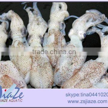 Zhoushan Aquatic Product Frozen Baby Squid photo-2