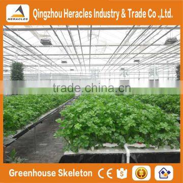 Agricultural Greenhouses For Soilless Hydroponics / Nft Systems For Tropical And Desert Areas photo-4