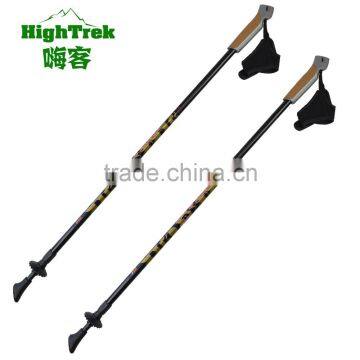 Wholesale new arrival gs approved 100% carbon nordic walking stick