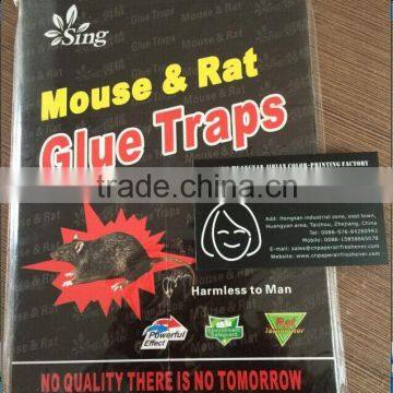 2015 best selling paper pest control glue board with 4c printing