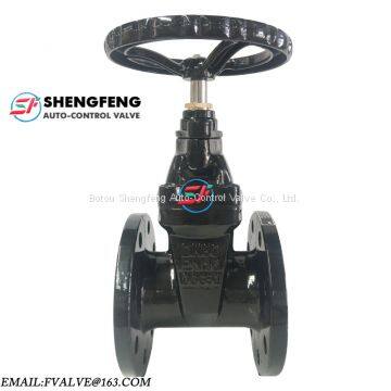 DIN3352 F4 DN80 NRS grey iron flanged end gate valve