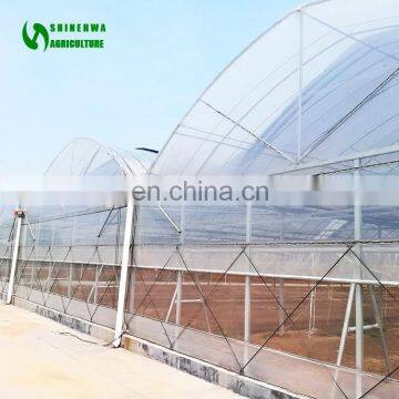 Cheap Chinese Tunnel Plastic Film Agriculture Greenhouse