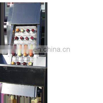Professional Design Onion Skin Peeling Machine/onion Peeling and Root Cutting Machine photo-6