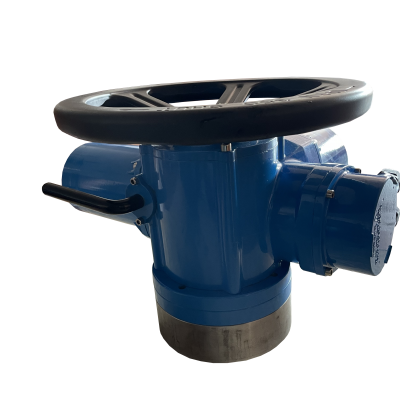 DZW Thrust Type Electric Actuator photo-4