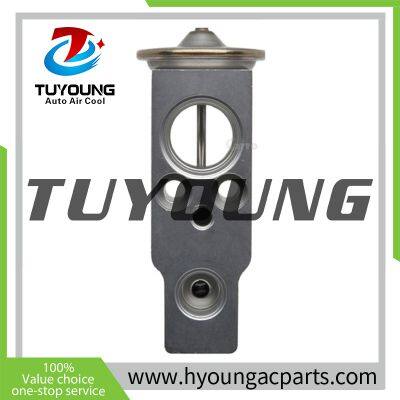 TUYOUNG China Supply Auto Air Conditioning Thermal Expansion Valves for Honda Civic,80221SNAA01 8851552020 ,HY-PZF294