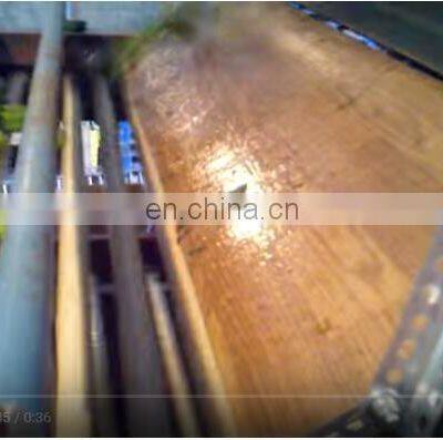 Fully Automatic Stainless Steel Cucumber Length Sorting photo-4