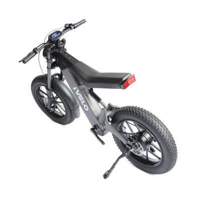 New Model 20 inch 48V 13Ah Lithium Battery Electric Fat Tire Bike Ebike Bicycle Customized Logo