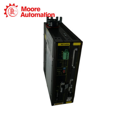 BERGER LAHR WDP3-318 WDP3-318.0801 photo-3