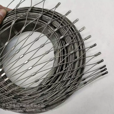 Ss 304 316 Stainless Steel Cable Wire Mesh Ferrule Rope Mesh for Zoo/Bird/Aviary Net Green Wall Stair Railing Safety Mesh Fence