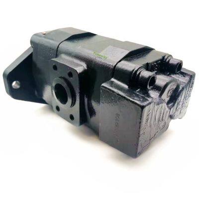 Double Gear Pump PGM 25.4-20cc Hydraulic Pump Main Control Pump for Replace PARKER PGM315 photo-2