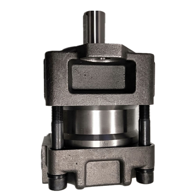 Gear Hydraulic Pump QXM33 QT Series Variable Hydraulic Rotary Double Gear Pump QT21 QT22 QXM33-010N11