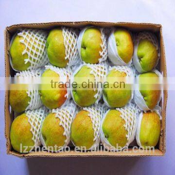 Mango Protective Foam Packaging Net