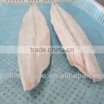 Deep Processed IQF Frozen Spanish Mackerel Fillet