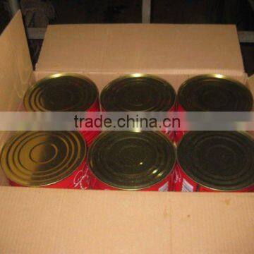 Powerseller!3000g*6tins/ctn Fresh tomato paste