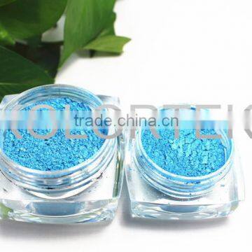 Fashion cosmetic eyeshadow loose powder