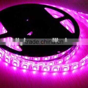 2 Years Warranty Super Bright Smd 3014 Led Strip 12v 240 Leds