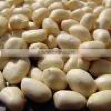 Blanched Peanut Kernels(round type)