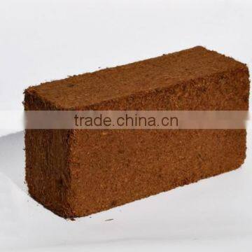 coir pith for gerbera plants