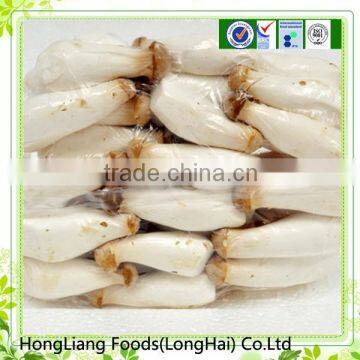 Middle size fresh king oyster mushroom spawn