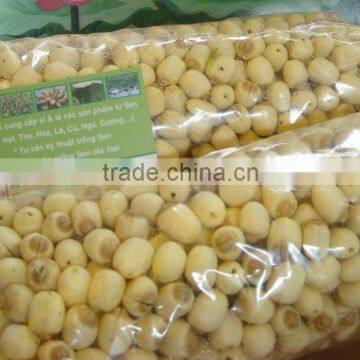 Fresh Lotus Seed