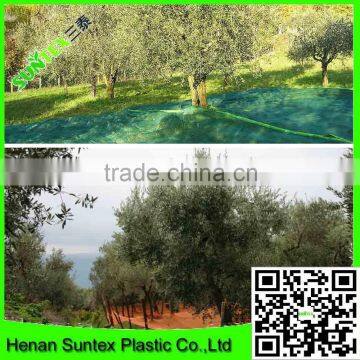 Wholesale HDPE plastic various weave styles orange and green color olive net/olive collection net/olive harvest net