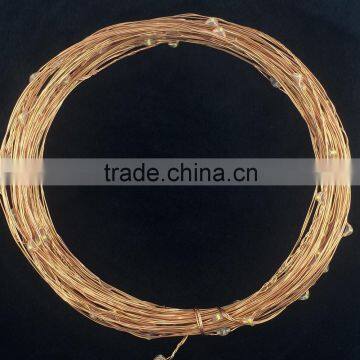 2 Year Warranty 12 v Outdoor Led String Lighting photo-4