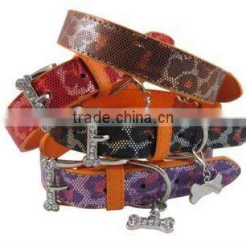 Dog Collar DC06