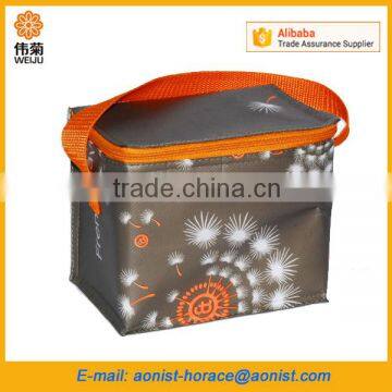 Peva Liner Insulated Lunch Cooler Bag