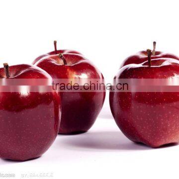 red delicious apple