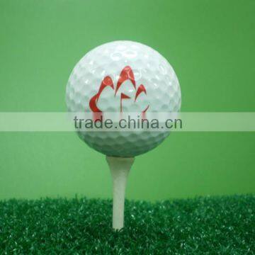 2-piece balata practice golf balls low price