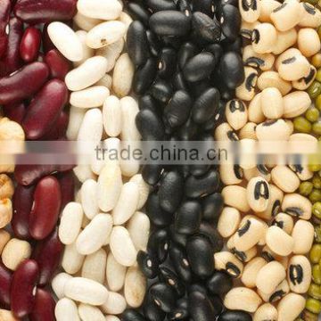 Kidney Beans ( White,Read,Black),Mung Beans.