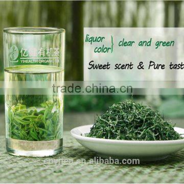 Yijian Organic Green Tea in First Grade Packed With Bags photo-2