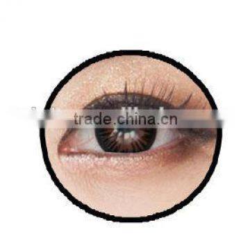 yearly wholesale color contact lens Eclipse Rainbow Korean contact lens