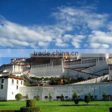 The potala palace pattern cloth painting