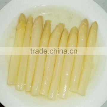 Best Taste Canned Asparagus with Factory Price