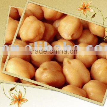 kabuli chickpea of hot sales