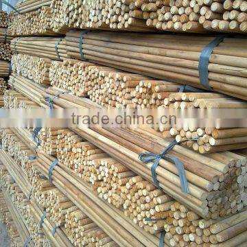 Wooden Stick Eucalyptus photo-5